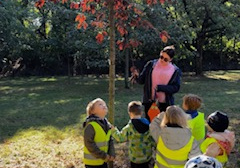 Dzieci stoją na trawie i oglądają kolorowe liście.
