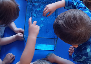 Dzieci wsypują i wkładają do akwarium różne elementy.
