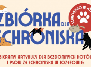 Plakat z tekstem i obrazkami kotków.