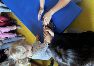 Dziewczynka głaszcze prawdziwego jeża.