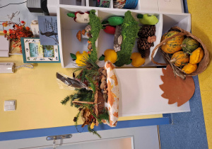 Kącik przyrody ze skarbami lasu.