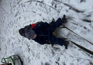 Chłopcy jadą na sankach.